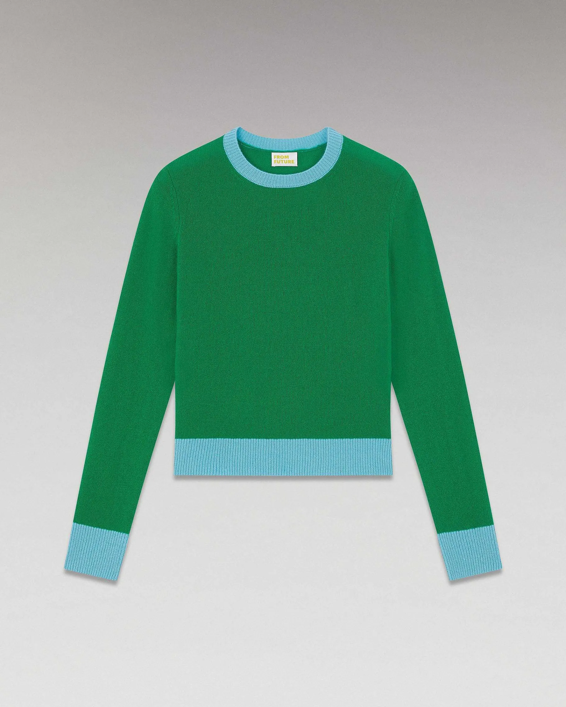 Clearance FROM FUTURE Pull Col Rond Bicolore Leger Winter Green