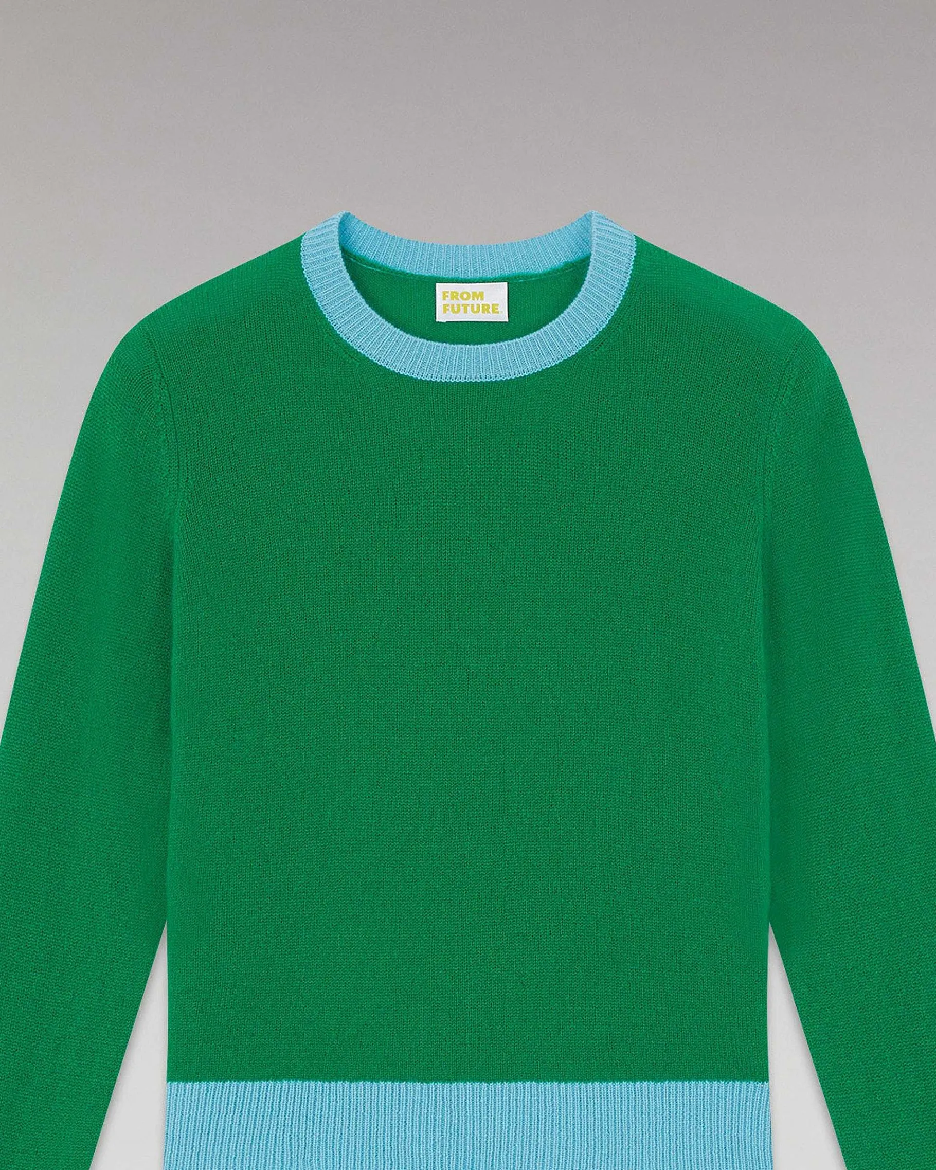 Clearance FROM FUTURE Pull Col Rond Bicolore Leger Winter Green