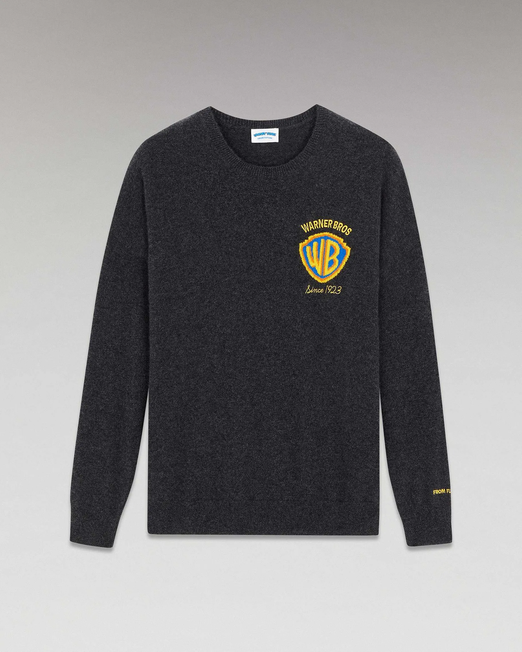 Hot FROM FUTURE Pull Col Rond Warner Anthracite